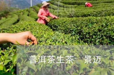 普洱茶生茶 景迈/2023041184806